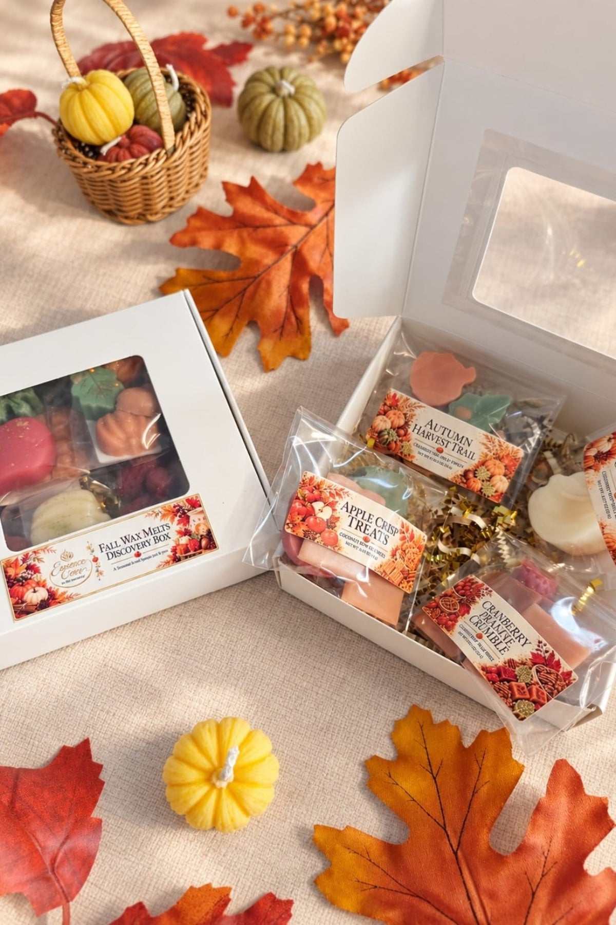 Fall Wax Melts Discovery Box | 4 Coconut Soy Wax Melt Scents